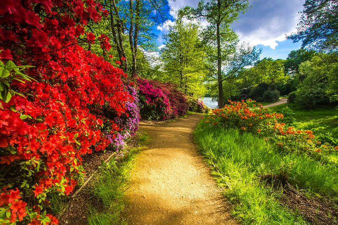 free things to do with kids in Surrey