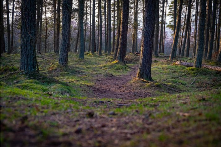 free things to do with kids in Perth and Kinross