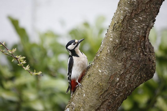 free things to do with kids in Cambridgeshire