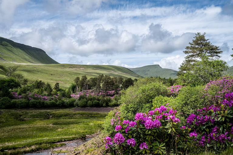 free things to do with kids in Powys
