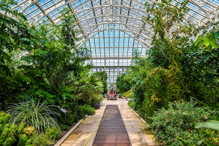 free things to do with kids in london