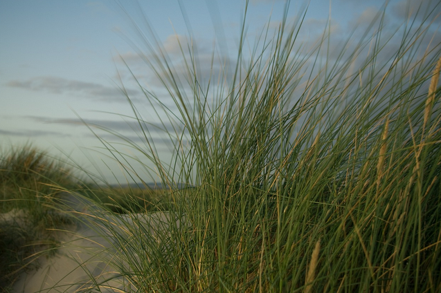 free things to do with kids in West Sussex