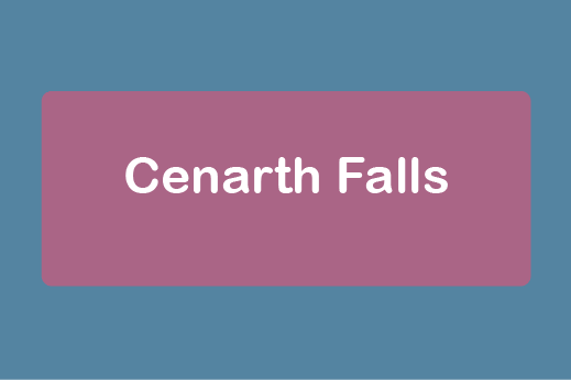 free things to do with kids in Carmarthenshire