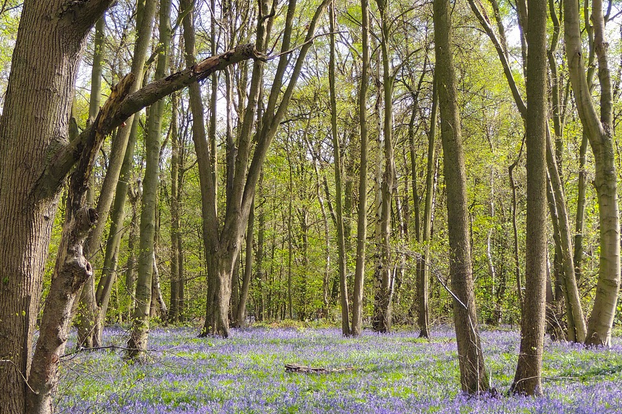 free things to do with kids in Nottinghamshire