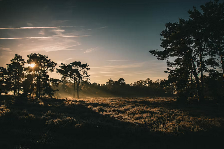 free things to do with kids in Suffolk
