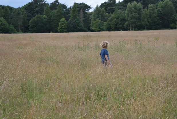 free things to do with kids in West Midlands