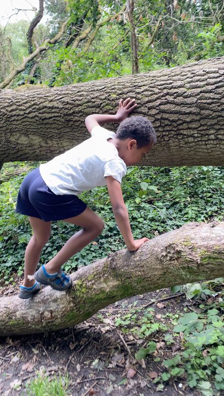 Kids Activities in the Woods