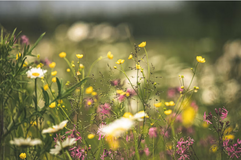 free things to do with kids in Gloucestershire