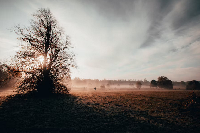 free things to do with kids in Surrey