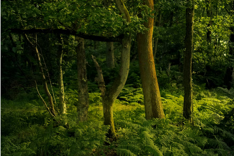 free things to do with kids in East Sussex
