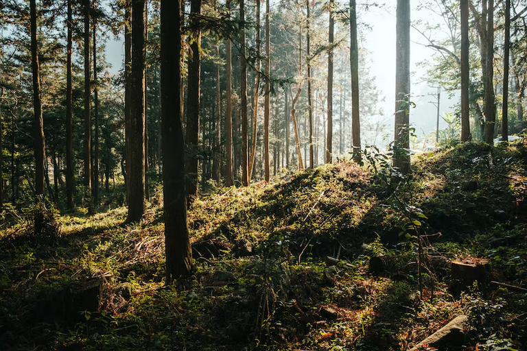 free things to do with kids in Buckinghamshire